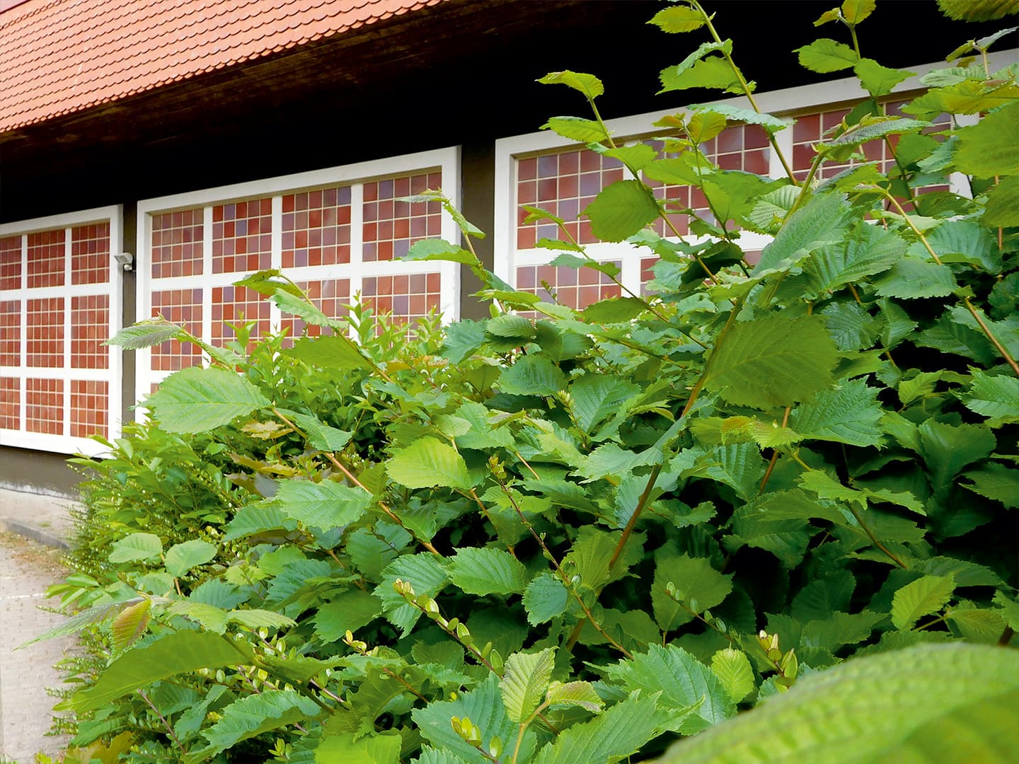 Friedrich Fröbel School in Stade- Foto